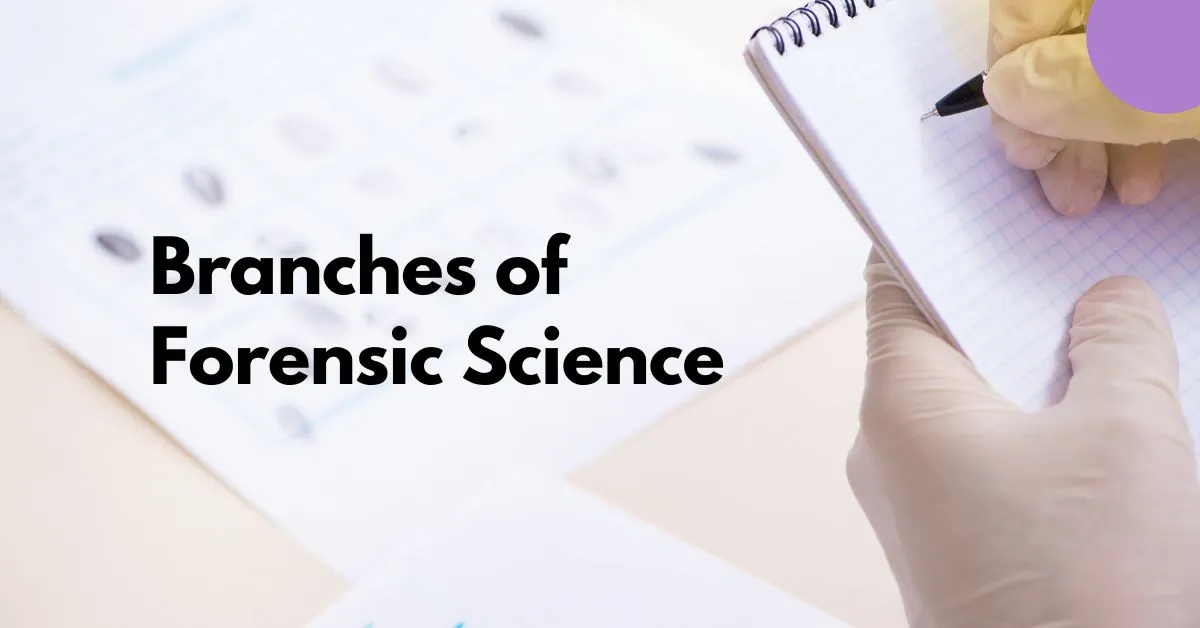 Branches of Forensic Science 