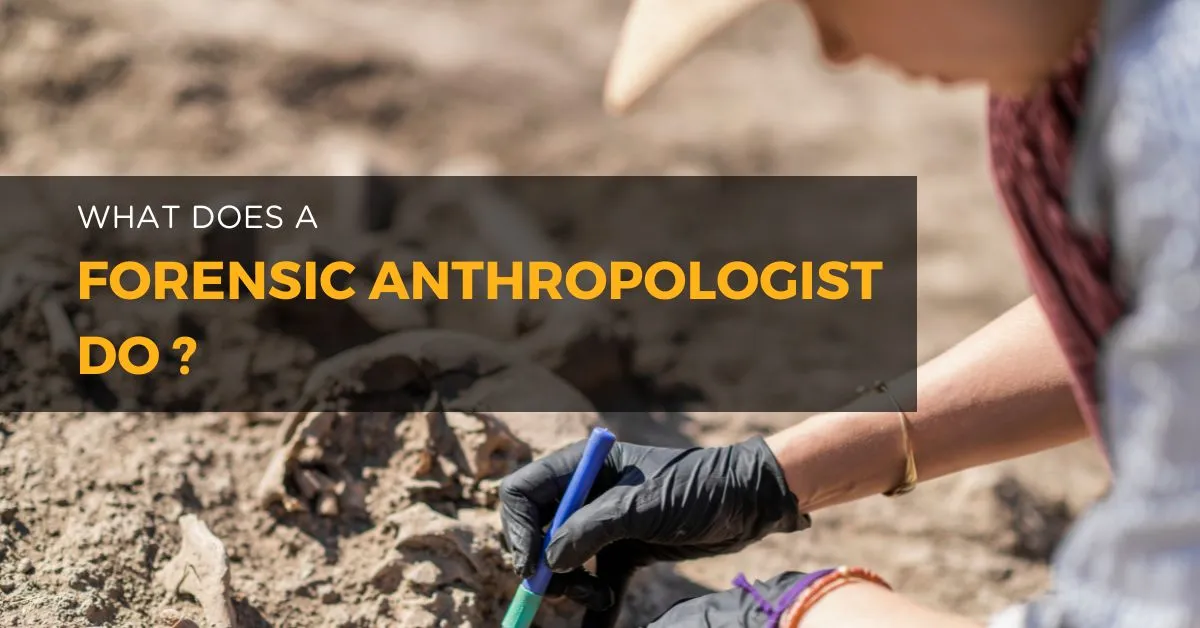 What Does a Forensic Anthropologist Do?