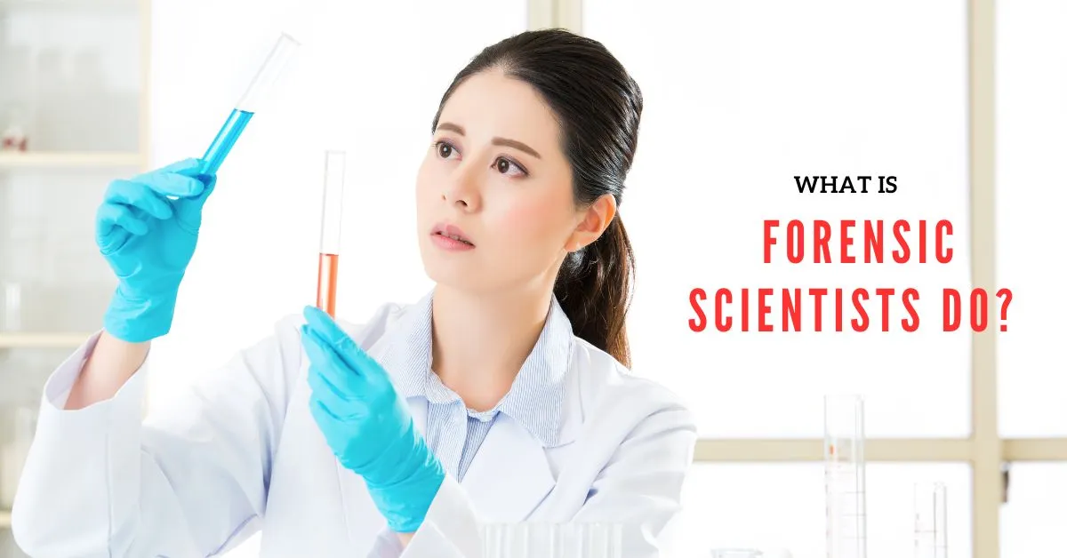 What is Forensic Scientists do?  
