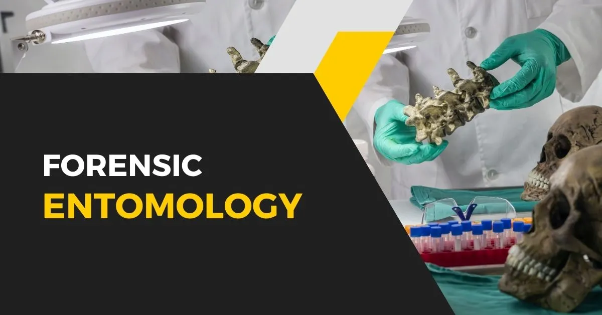 Forensic Entomology: overview, Syllabus, Specialization, Salary and Career