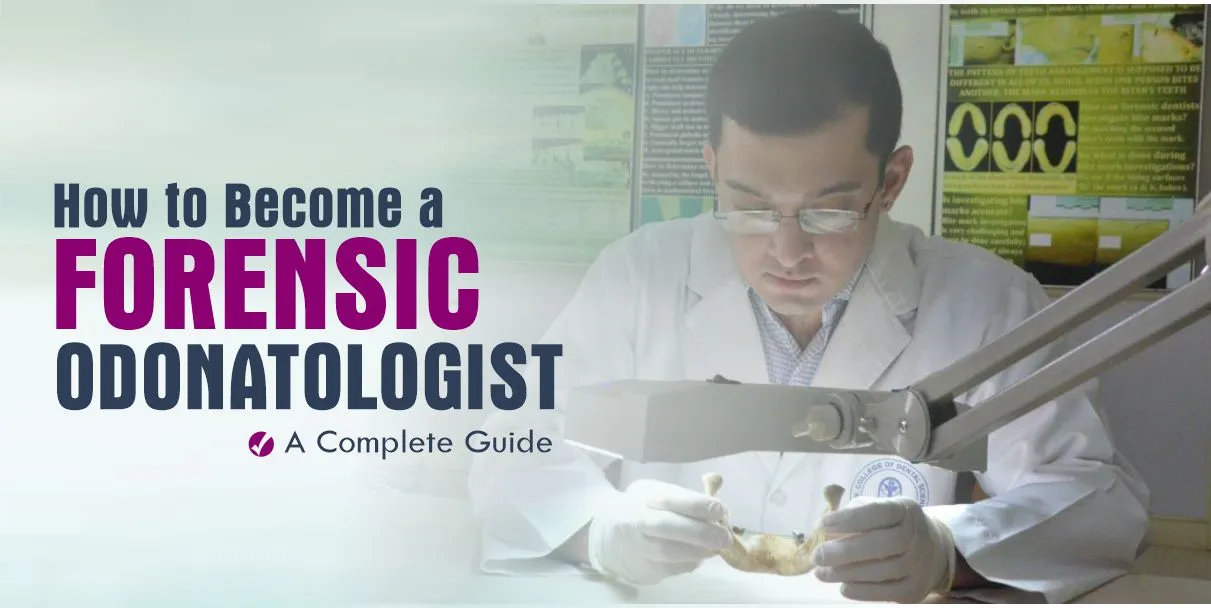 How to Become a Forensic Odonatologist: A Complete Guide