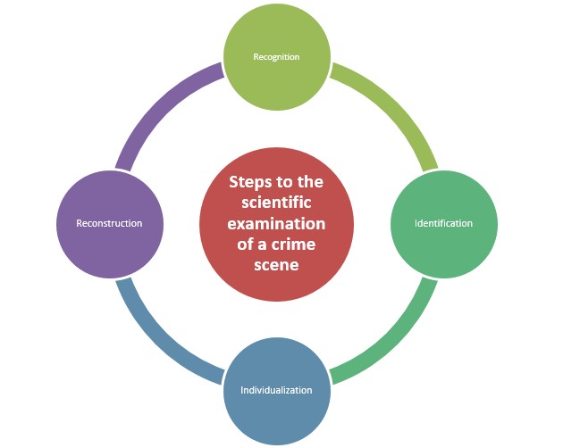 Forensic Science Crime Scene Investigation: Complete Guide & Insights