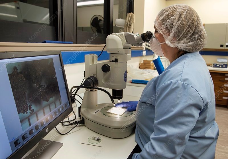 image-authentication