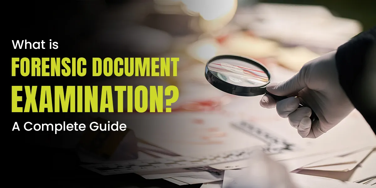 What is Forensic Document Examination? A Complete Guide