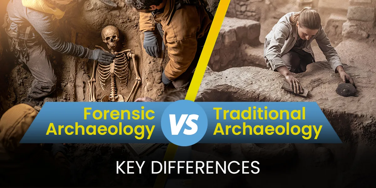 Forensic Archaeology vs. Traditional Archaeology: Key Differences