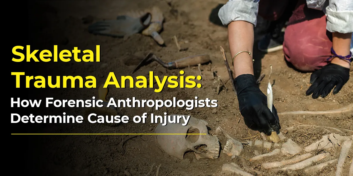 Skeletal Trauma Analysis: How Forensic Anthropologists Determine Cause of Injury